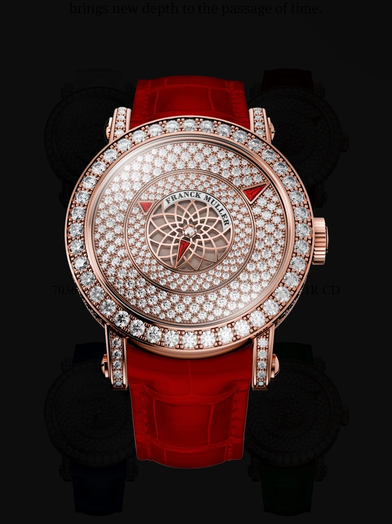 Franck Muller luxury watch.